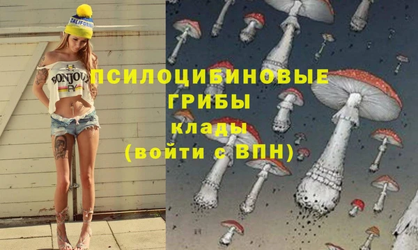 скорость Алзамай