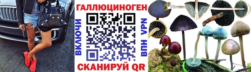 Псилоцибиновые грибы мицелий  mega рабочий сайт  Калининск 